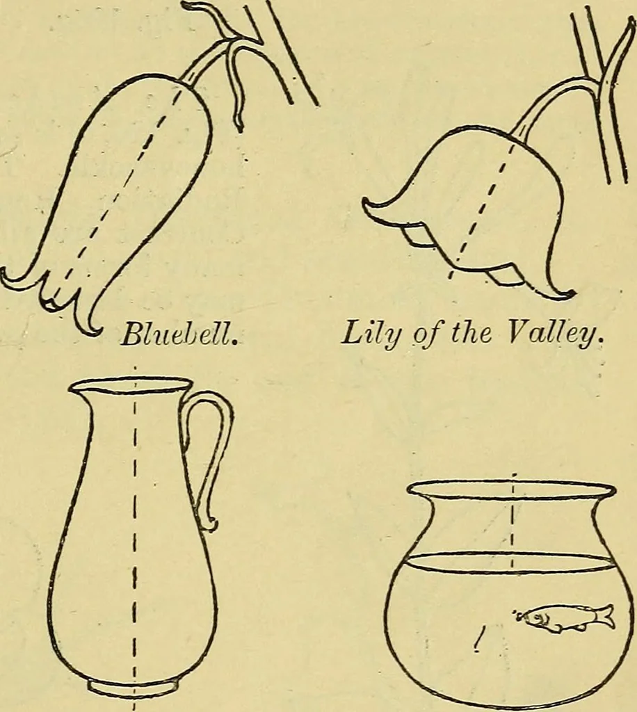 An illustration from The teaching of drawing : its aims and methods, 1910, leaf 128