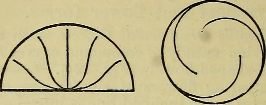 An illustration from The teaching of drawing : its aims and methods, 1910, leaf 129