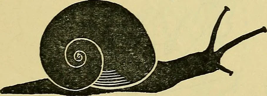 An illustration from The teaching of drawing : its aims and methods, 1910, leaf 130
