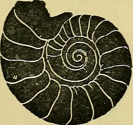 An illustration from The teaching of drawing : its aims and methods, 1910, leaf 130