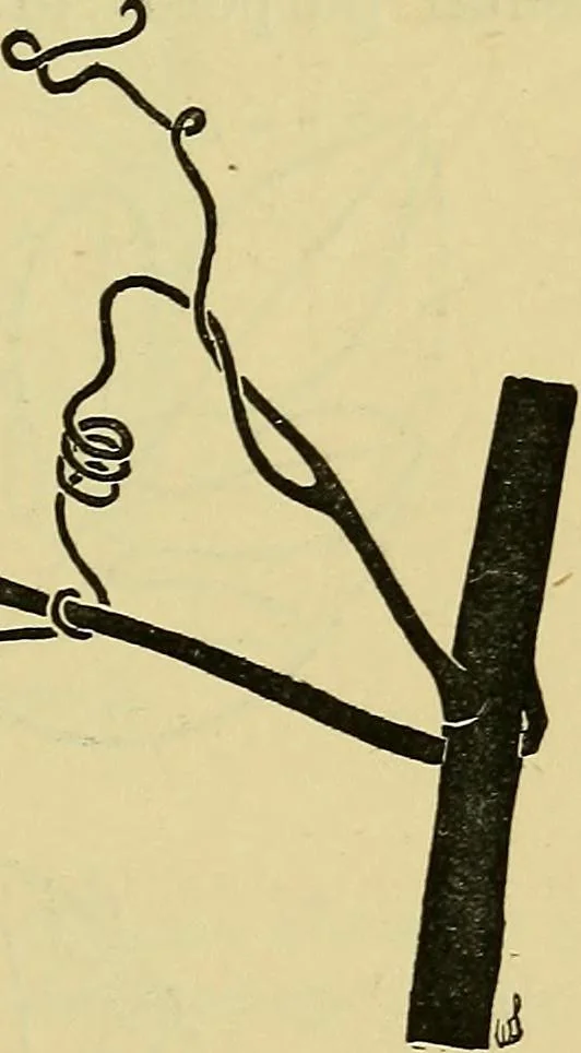 An illustration from The teaching of drawing : its aims and methods, 1910, leaf 130