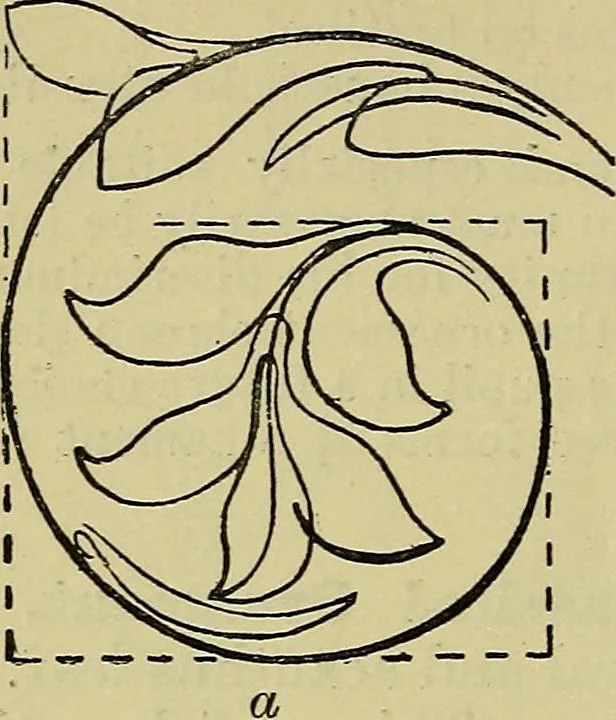 An illustration from The teaching of drawing : its aims and methods, 1910, leaf 131