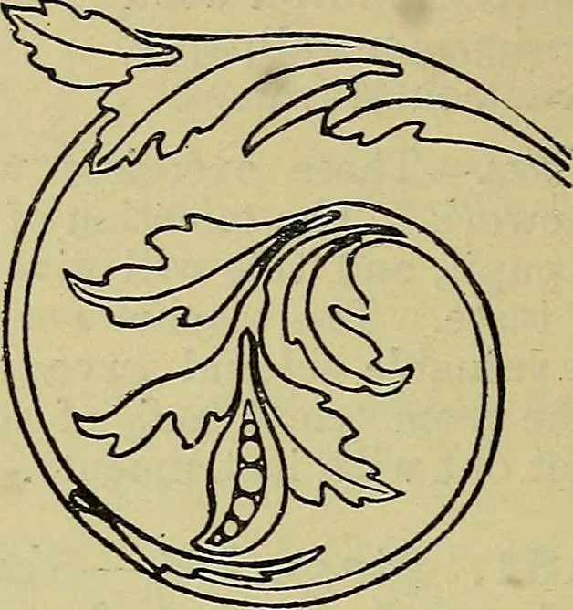 An illustration from The teaching of drawing : its aims and methods, 1910, leaf 131