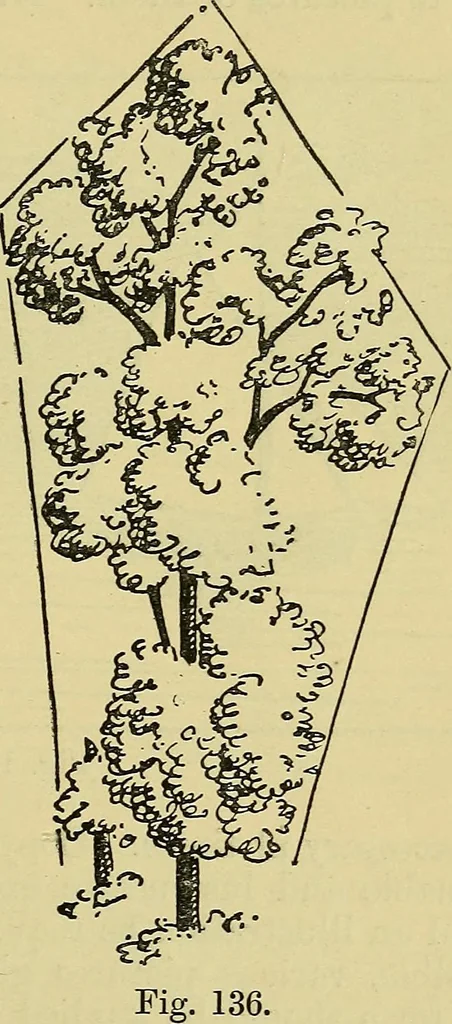 An illustration from The teaching of drawing : its aims and methods, 1910, leaf 146