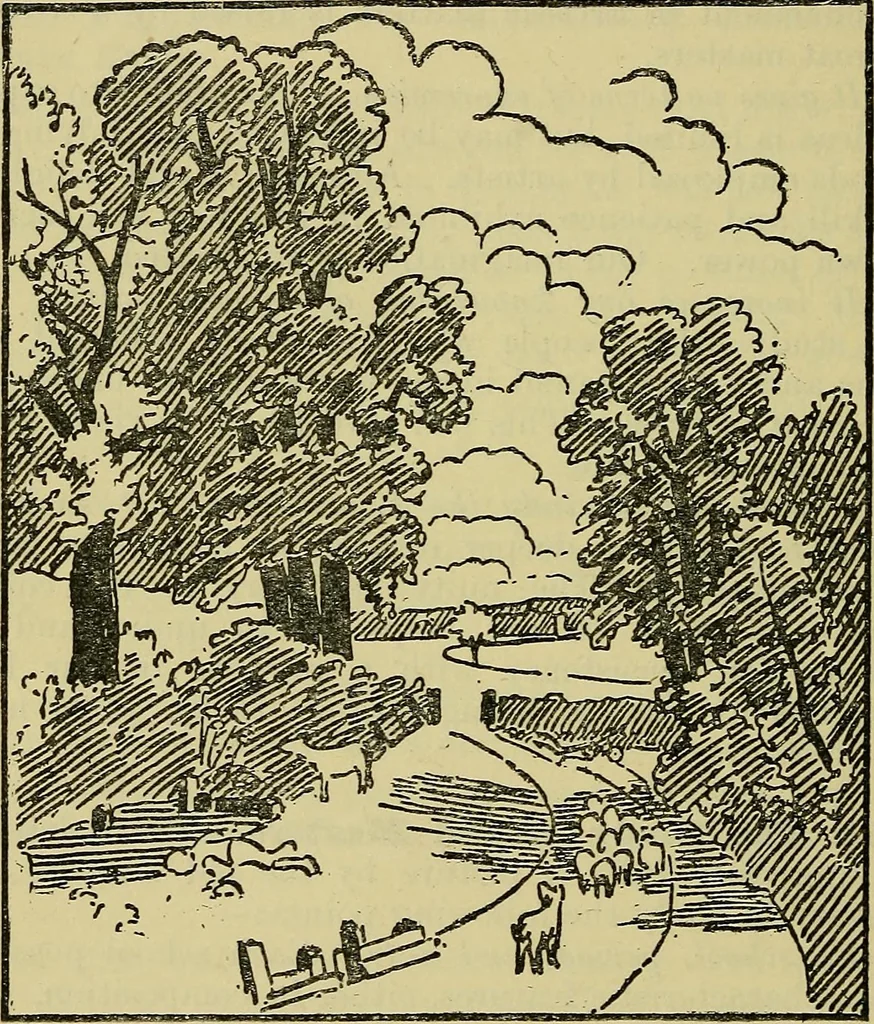 An illustration from The teaching of drawing : its aims and methods, 1910, leaf 157