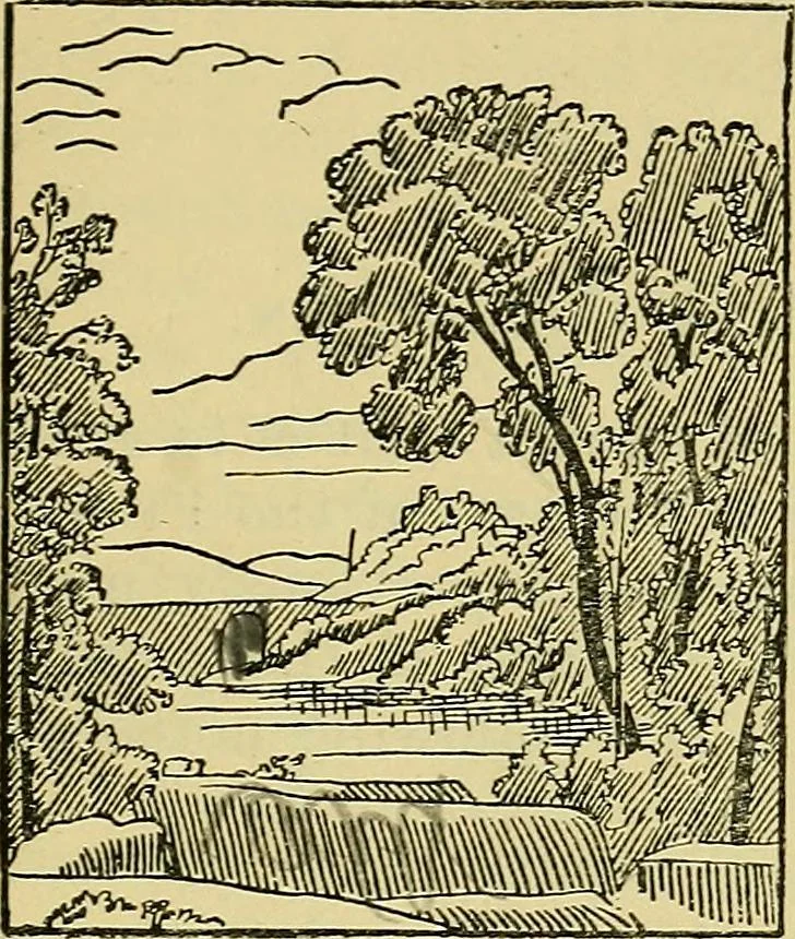 An illustration from The teaching of drawing : its aims and methods, 1910, leaf 162