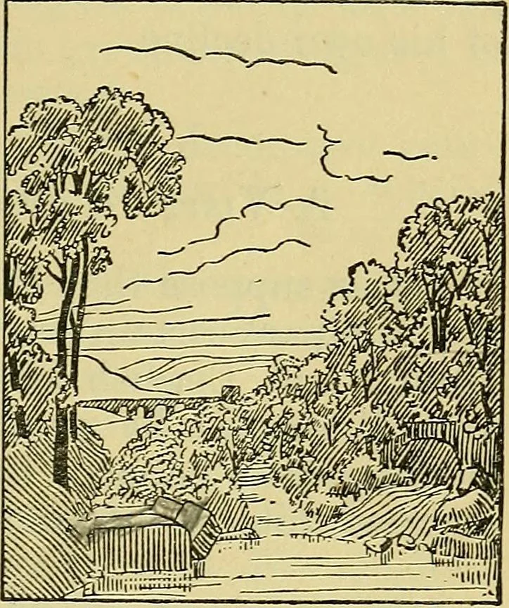 An illustration from The teaching of drawing : its aims and methods, 1910, leaf 162