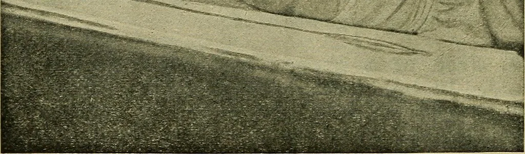 An illustration from The teaching of drawing : its aims and methods, 1910, leaf 29