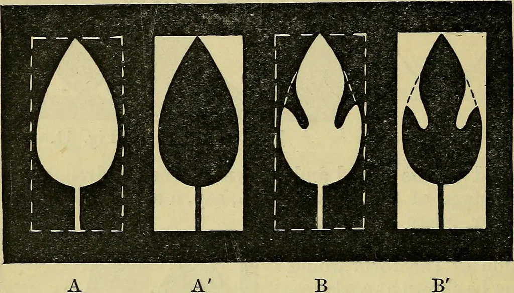 An illustration from The teaching of drawing : its aims and methods, 1910, leaf 37