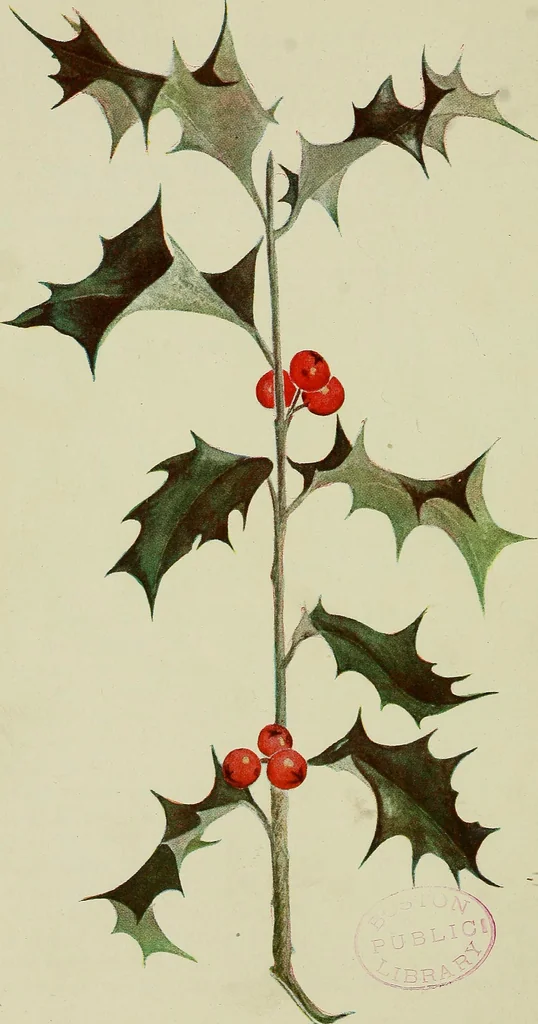 An illustration from The teaching of drawing : its aims and methods, 1910, leaf 41