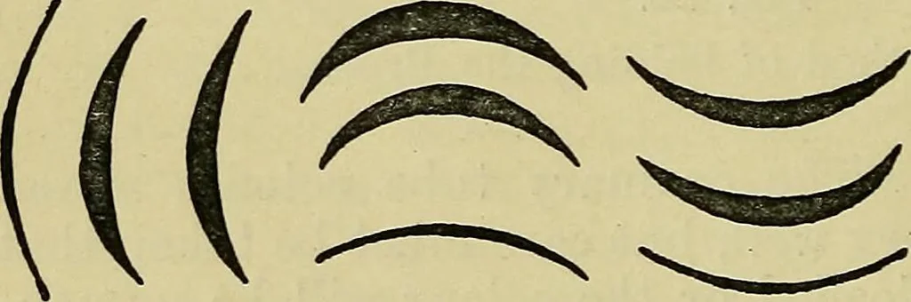 An illustration from The teaching of drawing : its aims and methods, 1910, leaf 45