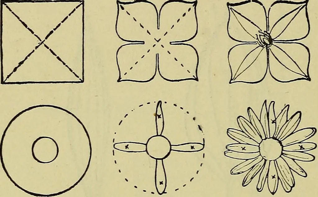 An illustration from The teaching of drawing : its aims and methods, 1910, leaf 69