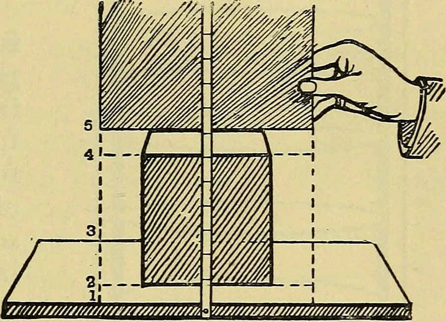 An illustration from The teaching of drawing : its aims and methods, 1910, leaf 88