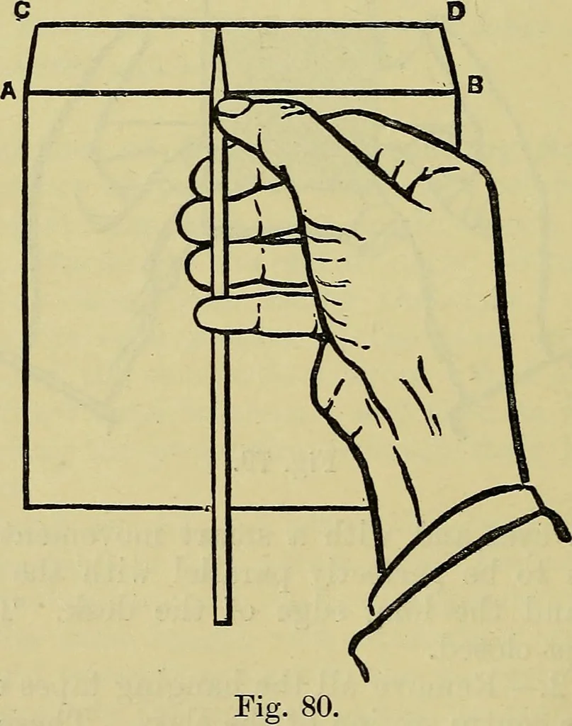 An illustration from The teaching of drawing : its aims and methods, 1910, leaf 95