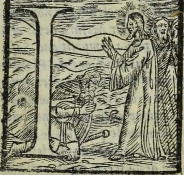 An illustration from Teatro de gl'inventori di tutte le cose, 1603, leaf 10