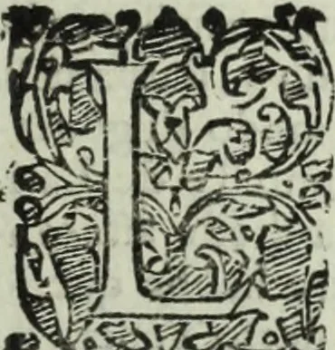 An illustration from Teatro de gl'inventori di tutte le cose, 1603, leaf 110