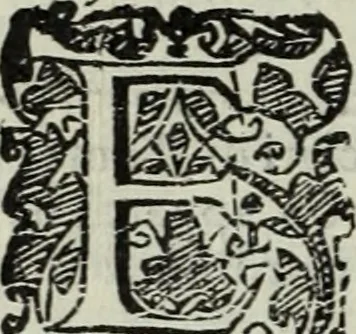An illustration from Teatro de gl'inventori di tutte le cose, 1603, leaf 141