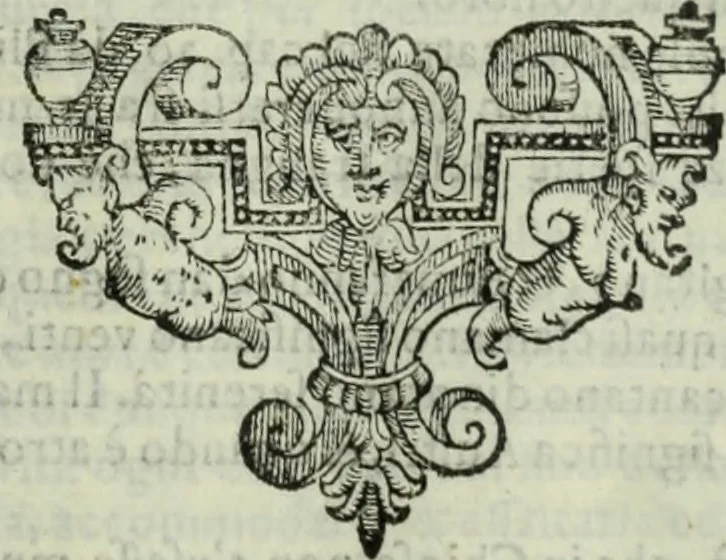 An illustration from Teatro de gl'inventori di tutte le cose, 1603, leaf 174