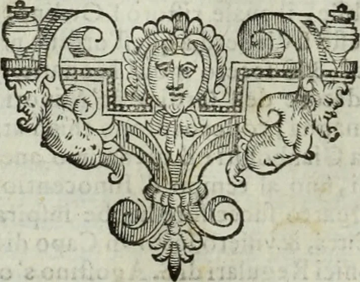 An illustration from Teatro de gl'inventori di tutte le cose, 1603, leaf 219