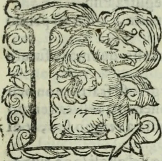 An illustration from Teatro de gl'inventori di tutte le cose, 1603, leaf 220