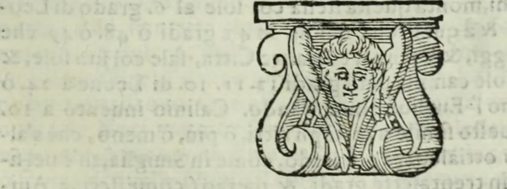 An illustration from Teatro de gl'inventori di tutte le cose, 1603, leaf 242