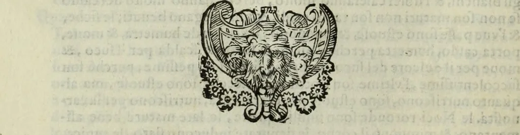An illustration from Teatro de gl'inventori di tutte le cose, 1603, leaf 245