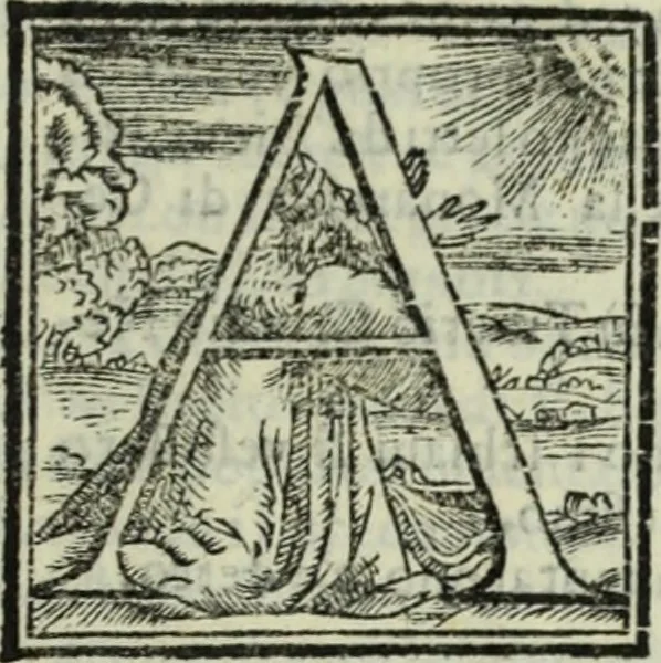 An illustration from Teatro de gl'inventori di tutte le cose, 1603, leaf 254