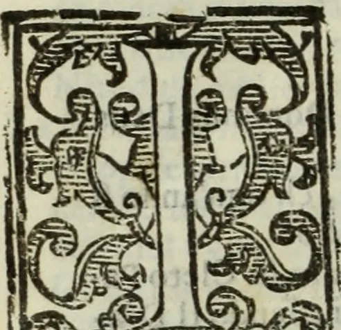 An illustration from Teatro de gl'inventori di tutte le cose, 1603, leaf 281