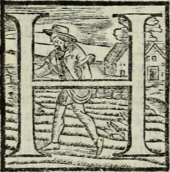 An illustration from Teatro de gl'inventori di tutte le cose, 1603, leaf 293