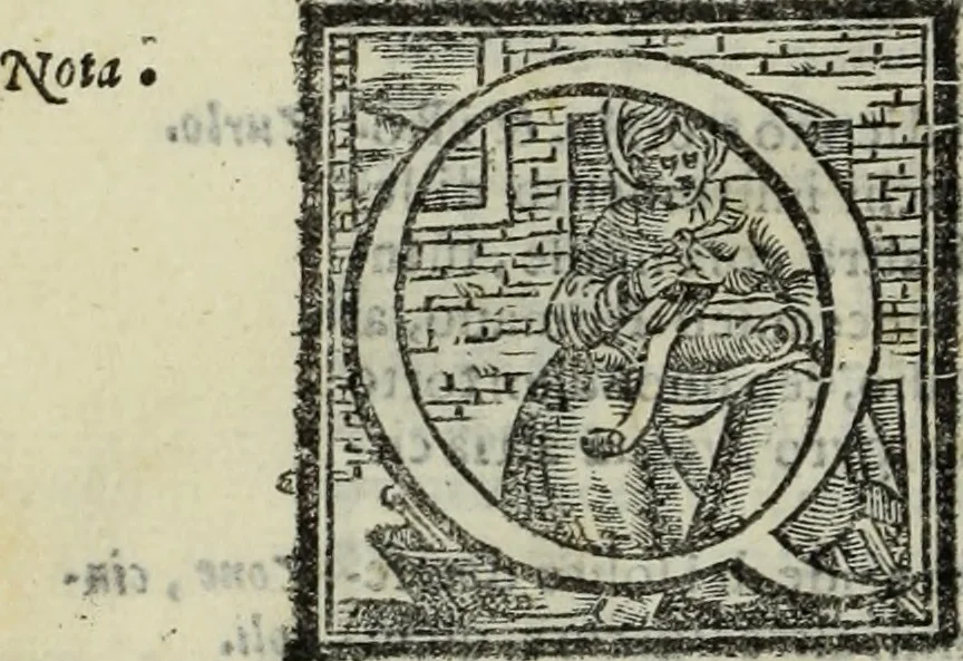 An illustration from Teatro de gl'inventori di tutte le cose, 1603, leaf 311