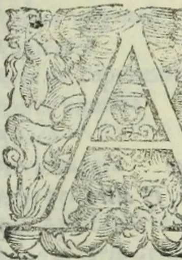 An illustration from Teatro de gl'inventori di tutte le cose, 1603, leaf 318