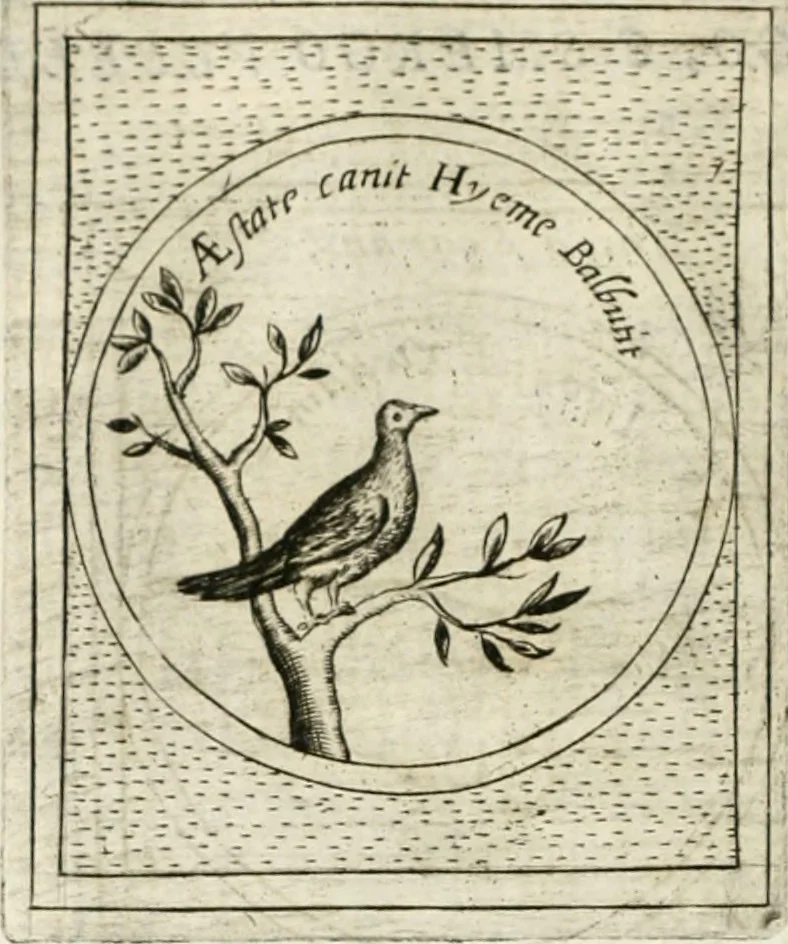 An illustration from Teatro d'imprese, 1623, leaf 1001