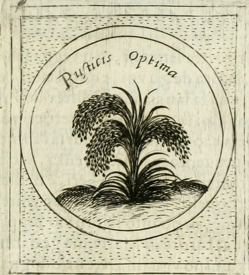 An illustration from Teatro d'imprese, 1623, leaf 1002