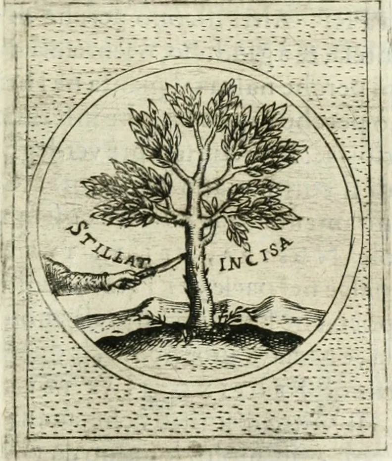 An illustration from Teatro d'imprese, 1623, leaf 1006