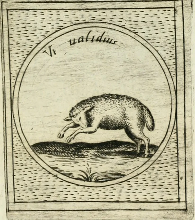 An illustration from Teatro d'imprese, 1623, leaf 1014