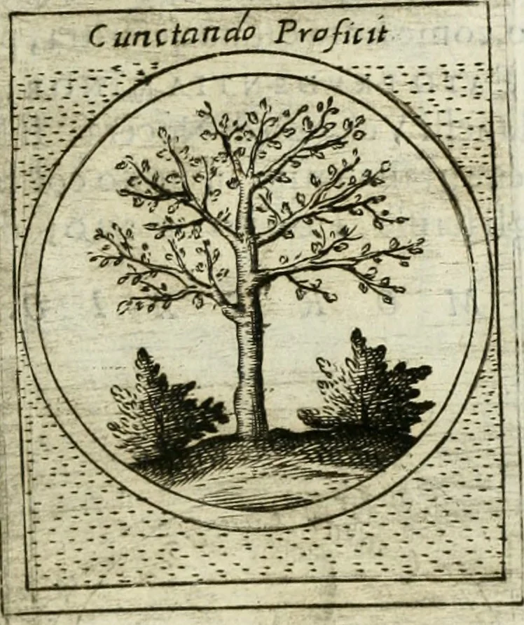 An illustration from Teatro d'imprese, 1623, leaf 1016