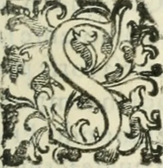 An illustration from Teatro d'imprese, 1623, leaf 1018