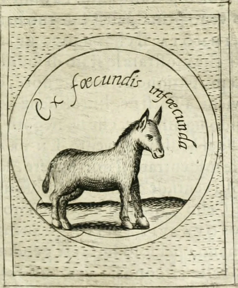 An illustration from Teatro d'imprese, 1623, leaf 1022