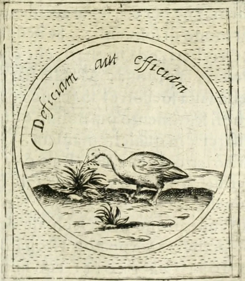 An illustration from Teatro d'imprese, 1623, leaf 1038