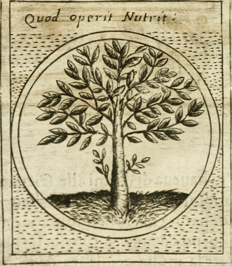 An illustration from Teatro d'imprese, 1623, leaf 1041