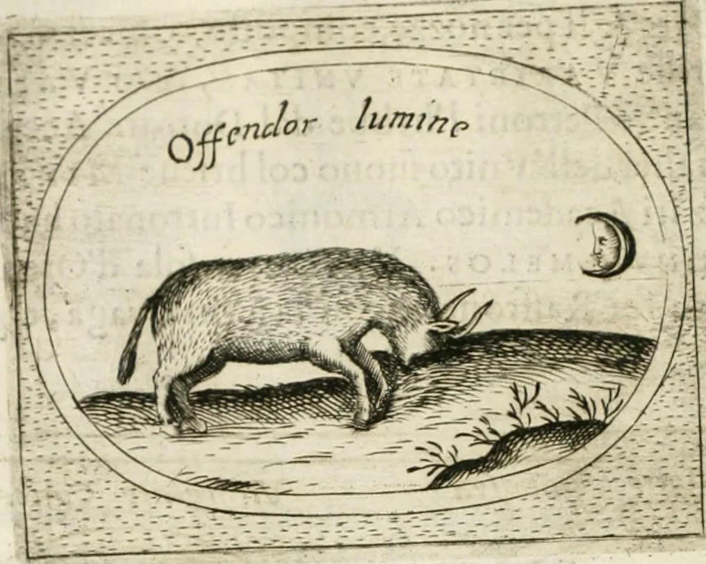 An illustration from Teatro d'imprese, 1623, leaf 1045