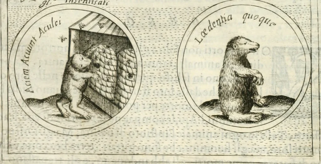 An illustration from Teatro d'imprese, 1623, leaf 1049