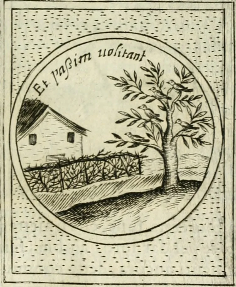 An illustration from Teatro d'imprese, 1623, leaf 1060