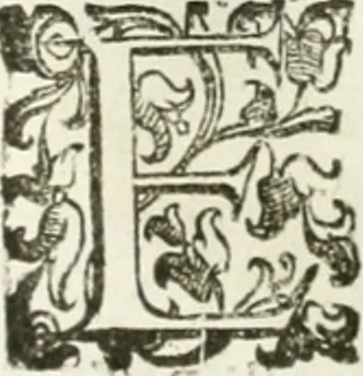 An illustration from Teatro d'imprese, 1623, leaf 1061