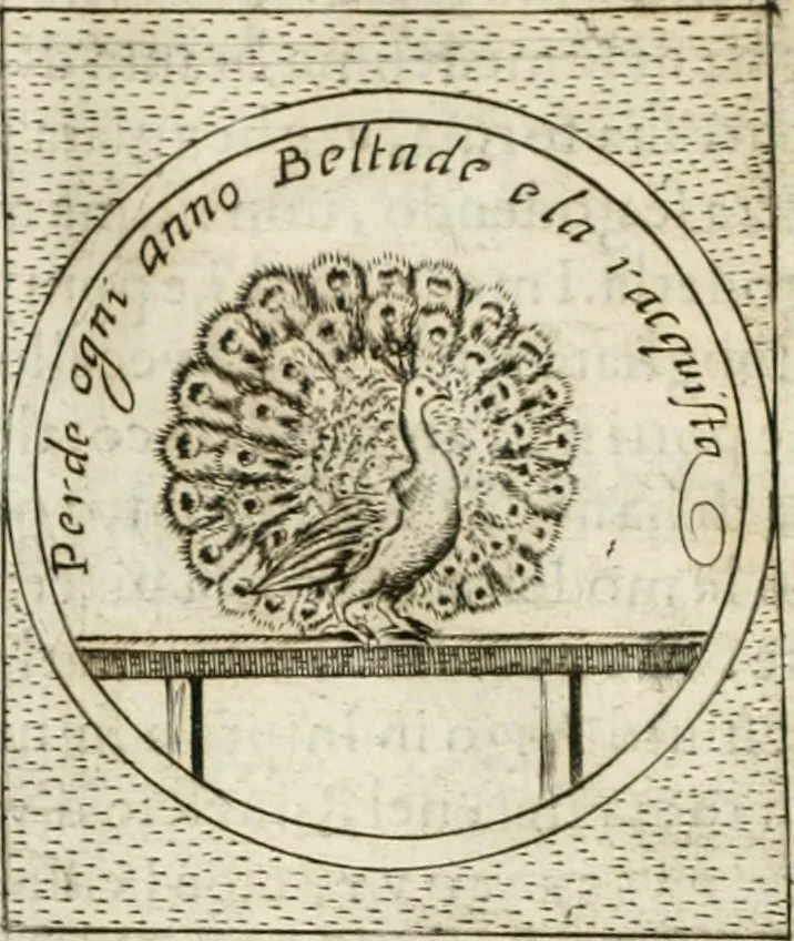 An illustration from Teatro d'imprese, 1623, leaf 1063