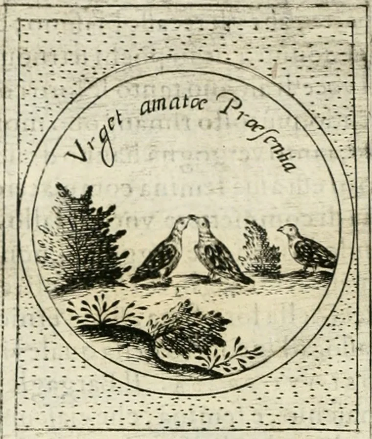 An illustration from Teatro d'imprese, 1623, leaf 1073