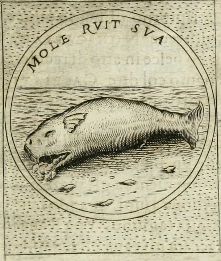 An illustration from Teatro d'imprese, 1623, leaf 1076
