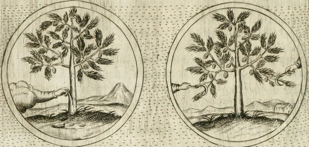 An illustration from Teatro d'imprese, 1623, leaf 1091