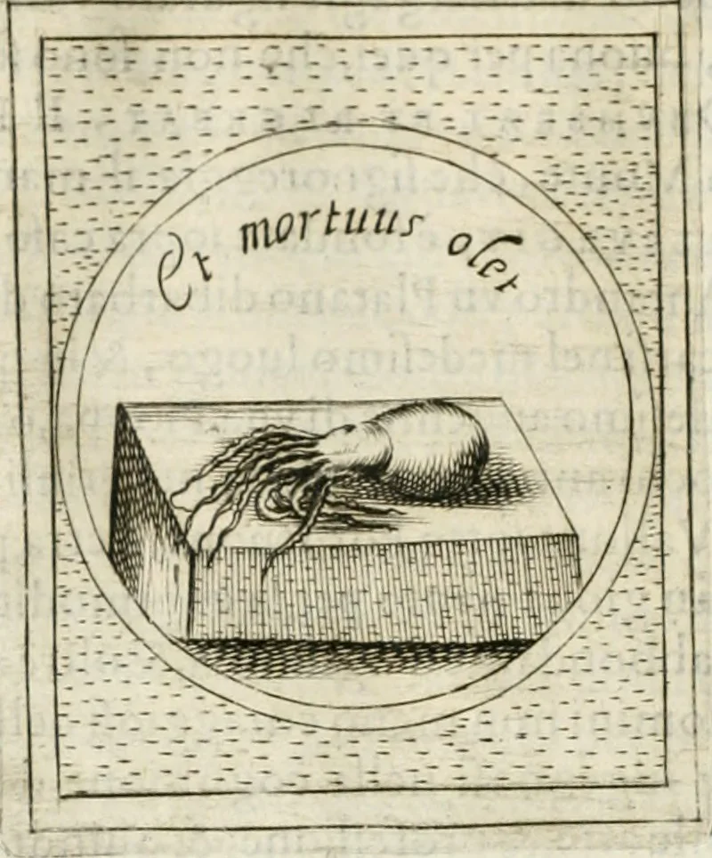 An illustration from Teatro d'imprese, 1623, leaf 1097