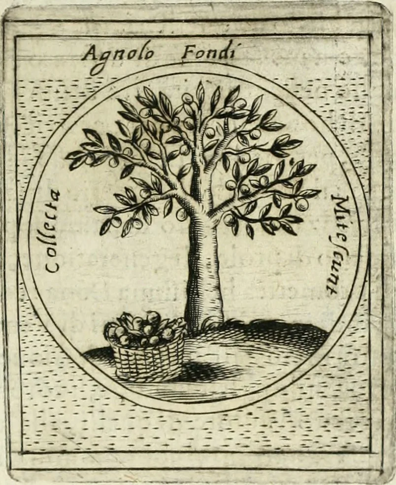 An illustration from Teatro d'imprese, 1623, leaf 1098